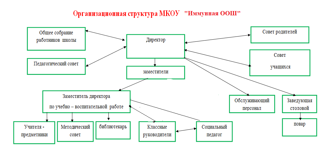 Организационная структура школы